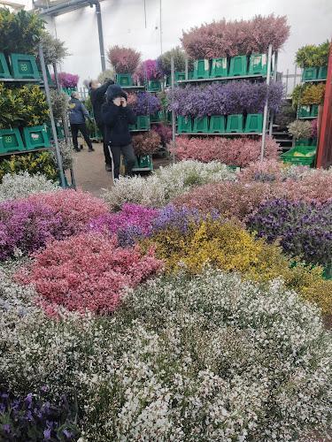 Una persona cammina in un'area di mercato piena di fiori e piante colorati, disposti in casse verdi e sul pavimento.
