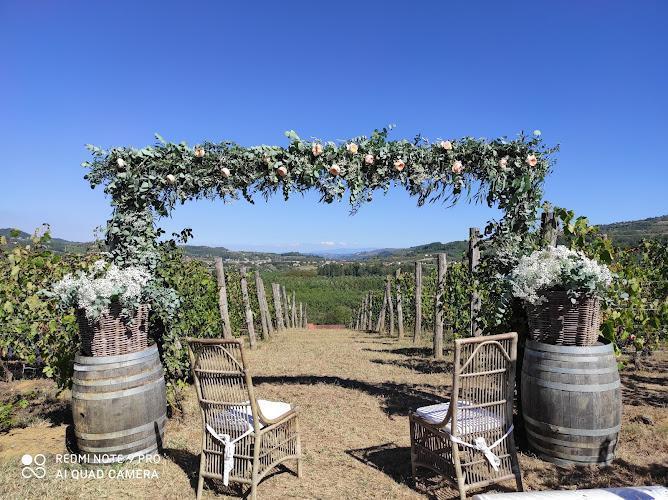 Un arco nuziale all'aperto decorato con fiori e verde, fiancheggiato da botti di legno con composizioni floreali, sullo sfondo di un vigneto e sotto un cielo azzurro e limpido.