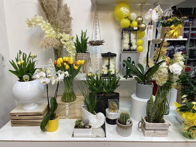 Un'esposizione di varie piante in vaso e composizioni floreali, tra cui tulipani, orchidee e cactus, su un bancone bianco. L'arredamento include piccoli palloncini gialli e piante in vasi e cestini diversi.