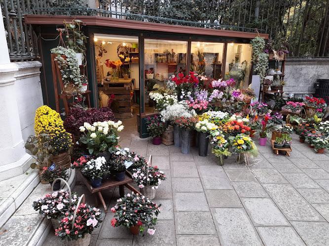 Angolo Fiorito Venezia Angoli Verdi