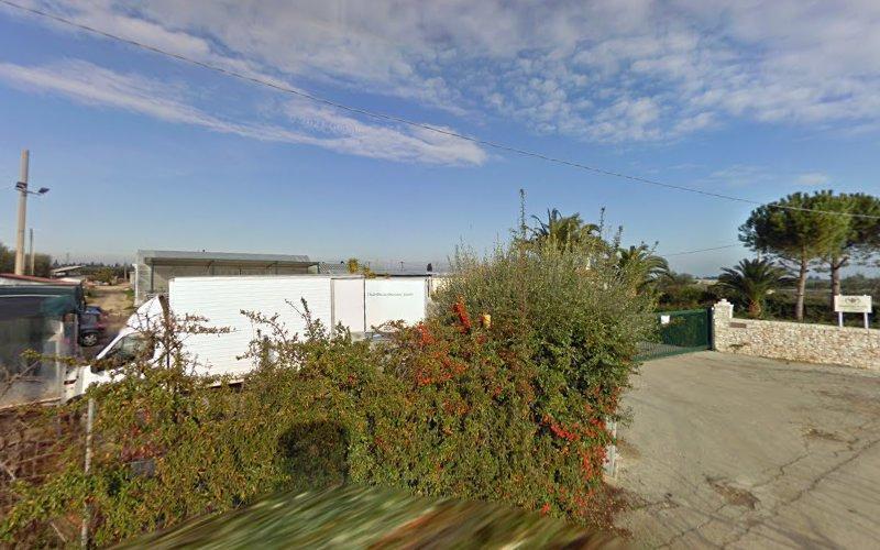 Un camion bianco è parzialmente nascosto dietro un grande cespuglio con bacche rosse, situato su una strada asfaltata sotto un cielo azzurro con nuvole sparse. Un'area recintata con alberi e un cancello è visibile sulla destra.