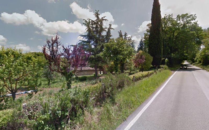Una stretta strada di campagna alberata con vegetazione lussureggiante su entrambi i lati e un cielo parzialmente nuvoloso sopra. Un veicolo in lontananza è visibile sulla strada.