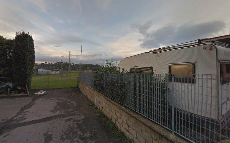 Un camper parcheggiato è accanto a una recinzione metallica in un ambiente esterno, con un campo e degli alberi visibili sullo sfondo sotto un cielo nuvoloso.