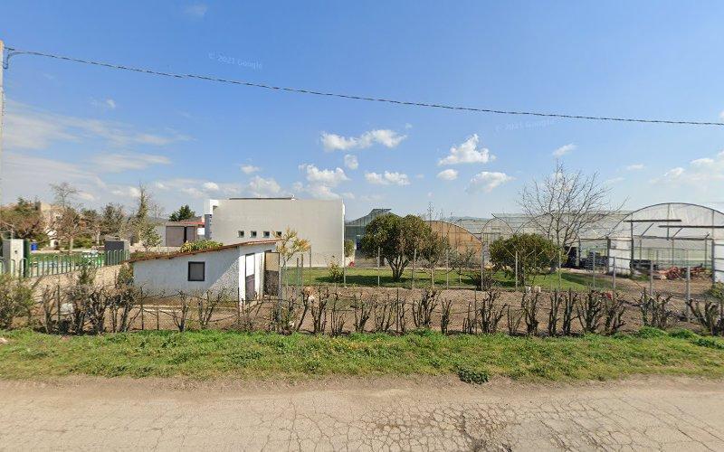 Un piccolo edificio bianco con il tetto verde si trova in un'area recintata con siepi e alberi, adiacente a una struttura coperta da pannelli trasparenti, sotto un cielo parzialmente nuvoloso.
