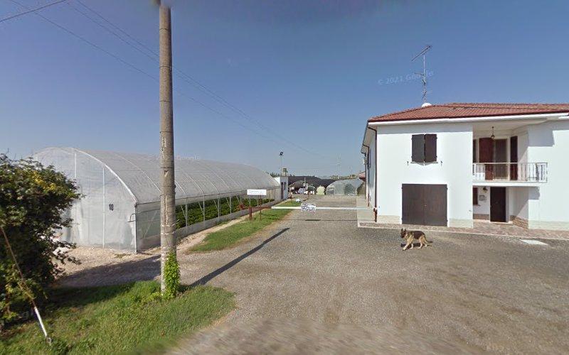 Una casa bianca a due piani con balconi è situata accanto a una grande serra. Un cane sta camminando sul vialetto di ghiaia di fronte agli edifici.