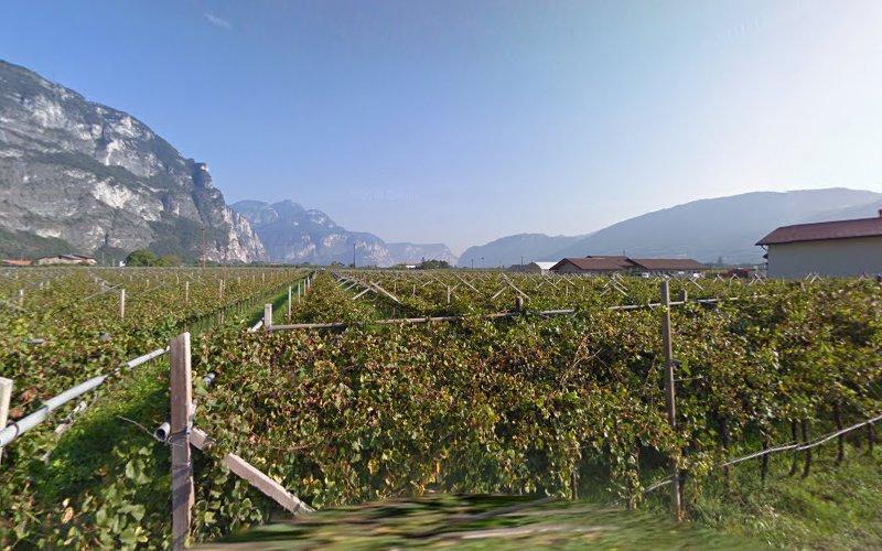 Un vigneto si estende in primo piano con tralicci e viti. Case e colline sono al centro, e grandi montagne dominano lo sfondo. Il cielo è limpido e soleggiato.