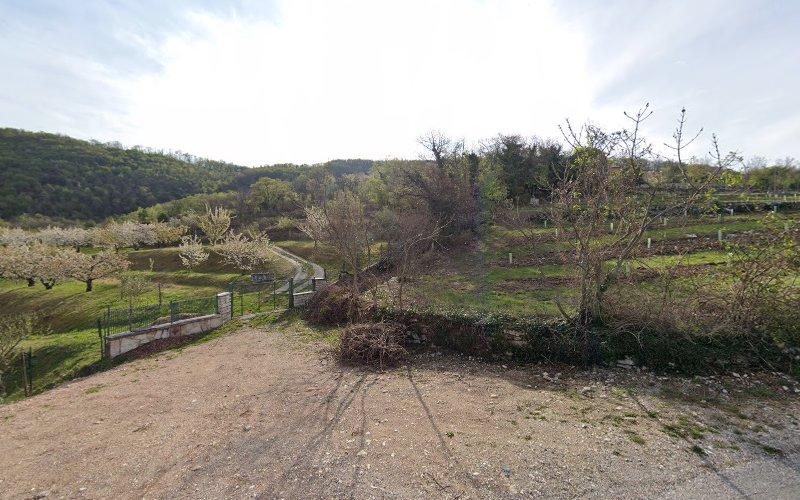 Un sentiero sterrato circondato da vegetazione rada e alberi conduce su per una collina in un paesaggio rurale sotto un cielo nuvoloso. Un cancello di metallo è visibile sul lato sinistro del sentiero.