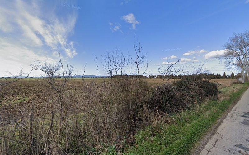 Un paesaggio rurale caratterizzato da campi aperti e arati con un po' di vegetazione secca in primo piano e un cielo azzurro con nuvole sparse sopra. Una strada costeggia i campi.