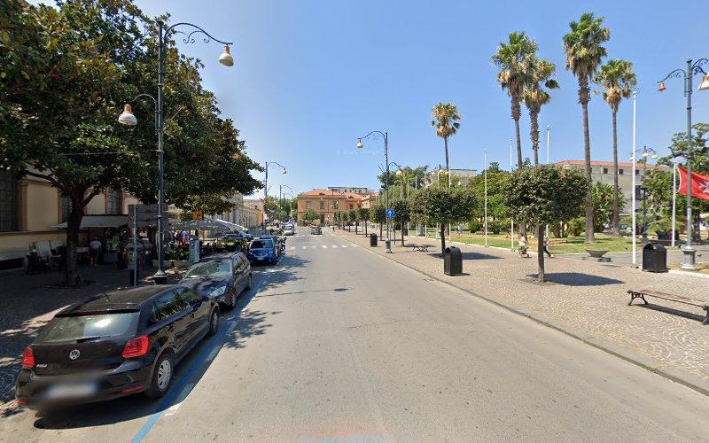 Una strada tranquilla fiancheggiata da auto parcheggiate, palme ed edifici in lontananza in una giornata di sole.