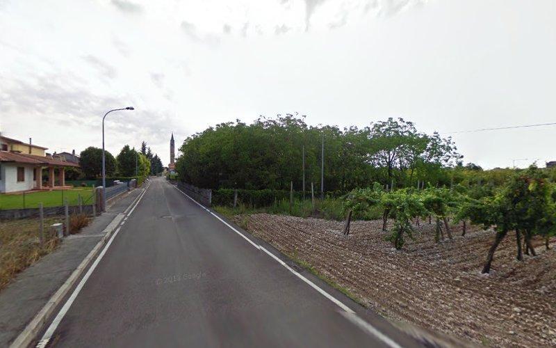 Una strada stretta e asfaltata, fiancheggiata da case residenziali sulla sinistra e da un campo coltivato con alberi sulla destra, che si estende in lontananza sotto un cielo nuvoloso.