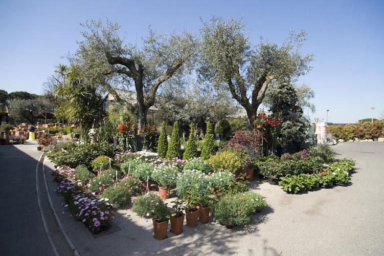 Un centro di giardinaggio all'aperto con varie piante e fiori in vasi disposti lungo un'area pavimentata, accanto a una strada con alberi sullo sfondo e un cielo azzurro e limpido.
