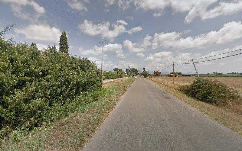 Una stretta strada asfaltata si estende in lontananza, fiancheggiata da cespugli sulla sinistra e da campi aperti sulla destra, sotto un cielo parzialmente nuvoloso.
