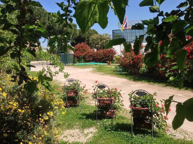 Scena di giardino con tre sedie ricoperte di piante fiorite, circondate dal verde e da fiori colorati sotto un cielo azzurro e limpido.
