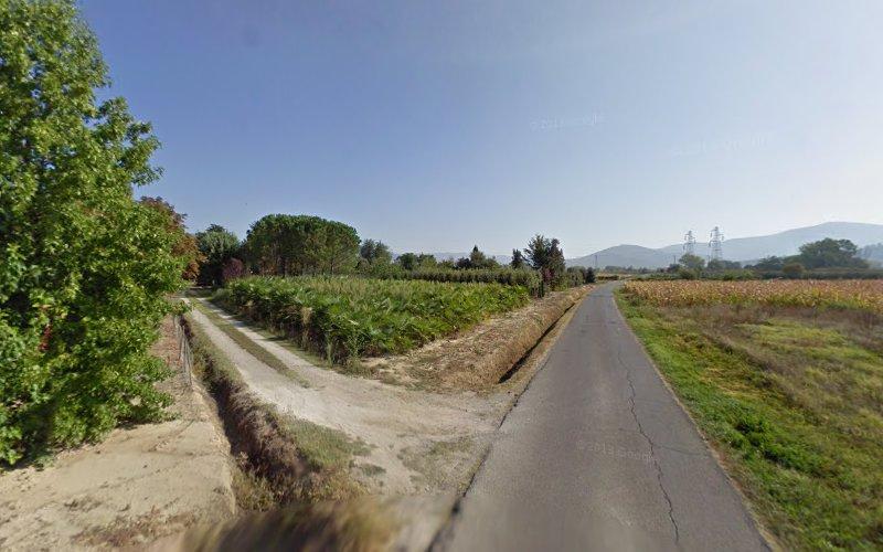 Uno scenario rurale con due sentieri, uno asfaltato e uno sterrato, circondati dal verde e dai campi, che conducono verso lontane colline sotto un cielo limpido.