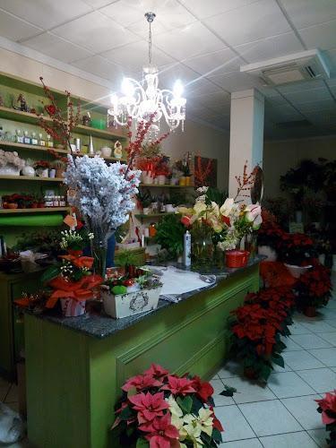 Un negozio di fiori ben illuminato con un bancone verde, varie composizioni floreali, tra cui stelle di Natale, e un lampadario decorativo in alto.