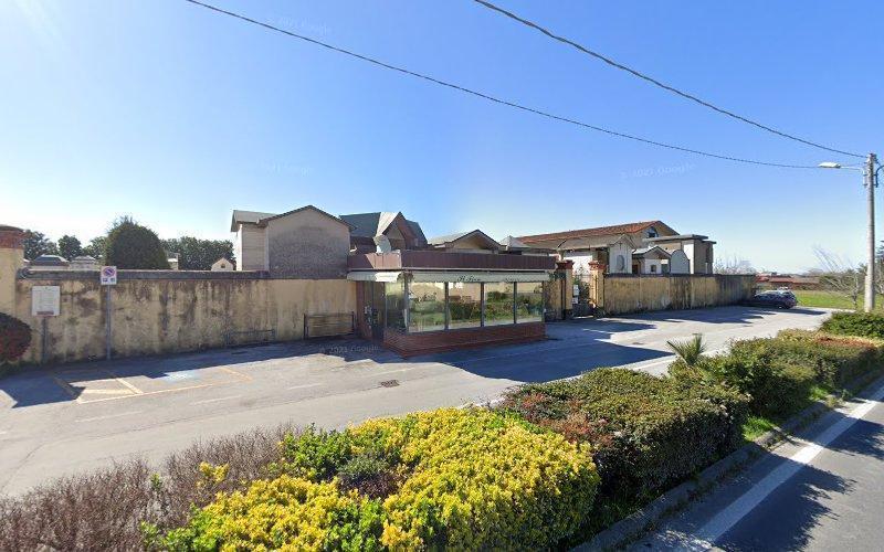 Una piccola pensilina per autobus si trova lungo la strada, circondata dal verde. Sullo sfondo si vedono case residenziali e un cielo terso e azzurro.