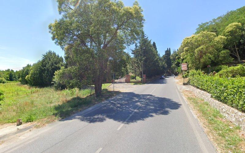 Una strada asfaltata delimitata dal verde, con un albero che proietta ombra sulla strada. Un cartello stradale è visibile sulla destra, e la strada continua in lontananza sotto un cielo azzurro e limpido.