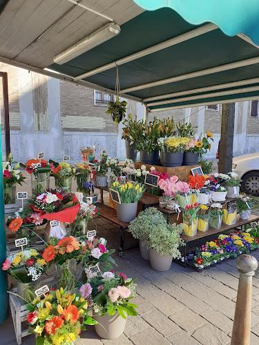 Negozio di fiori all'aperto sotto una tenda verde che espone vari fiori colorati in secchi e vasi su scaffali a più livelli. I cartelli dei prezzi sono visibili su alcune composizioni.