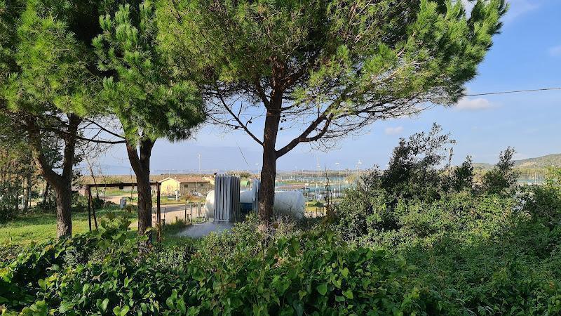Alberi verdi e fitta vegetazione in primo piano, con strutture e palazzi industriali sullo sfondo, sotto un cielo azzurro e terso.