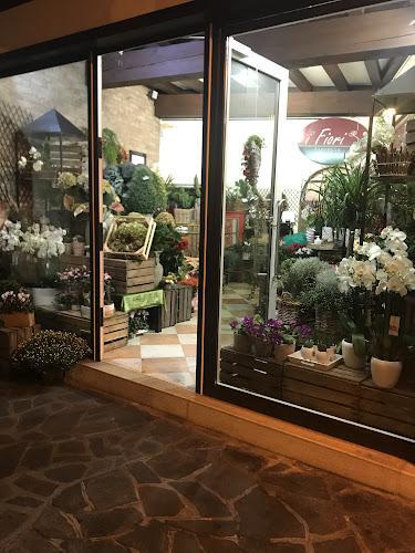 Un negozio di fiori ben illuminato con una varietà di piante e fiori in esposizione, visibili attraverso grandi vetrate e una porta a vetri aperta di notte.
