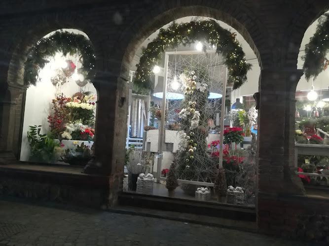 I fiori di Angelica Bologna Angoli Verdi