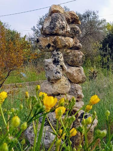 Un cumulo di rocce dalla forma irregolare si erge verticale in una zona erbosa, con fiori gialli in primo piano e alberi sullo sfondo.