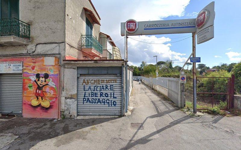 Ifa Flowers Napoli Angoli Verdi