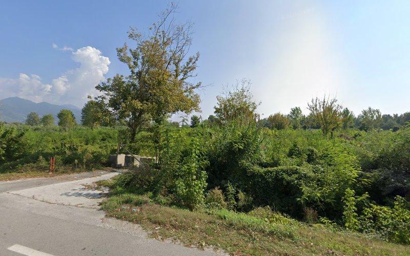Un'area lungo la strada con una fitta vegetazione verde, alberi e montagne in lontananza sotto un cielo limpido.