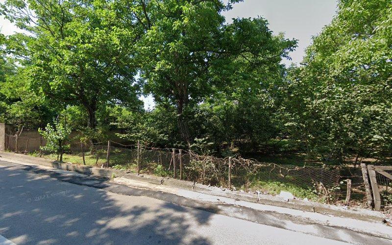 Vista stradale di un'area recintata con alberi fitti e vegetazione sotto un cielo limpido. La recinzione è fatta di rete metallica e il bordo della strada è leggermente crepato.