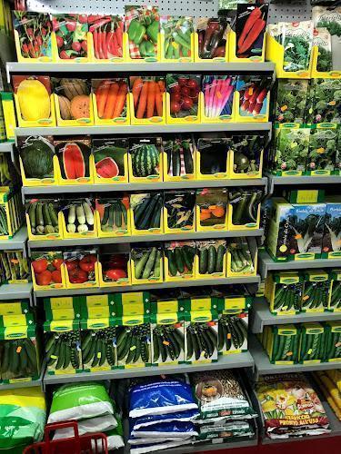 Uno scaffale di un negozio che espone una varietà di confezioni di semi di ortaggi organizzati per tipo, con ulteriori forniture per il giardinaggio sugli scaffali inferiori.