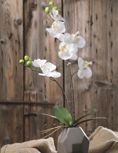 Un'orchidea bianca con numerosi fiori e boccioli è disposta in un vaso moderno e geometrico, su uno sfondo di legno.