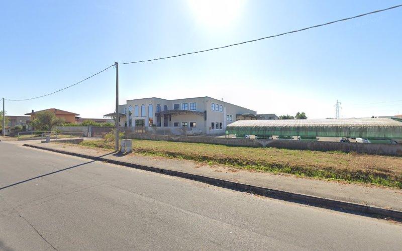 Veduta stradale di un moderno edificio industriale a due piani con facciata in cemento, adiacente a un campo e a delle serre, sotto un cielo limpido e luminoso.