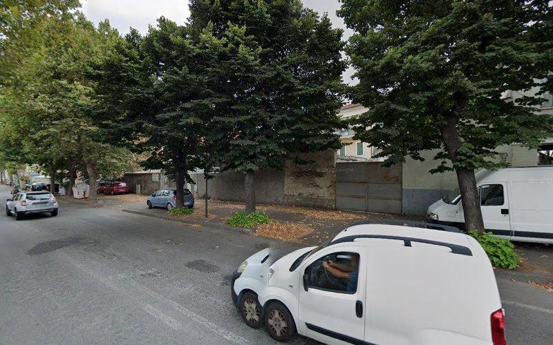 Veduta stradale con veicoli bianchi e grigi parcheggiati sullo sfondo di un marciapiede alberato e di un muro di mattoni consumato dal tempo.
