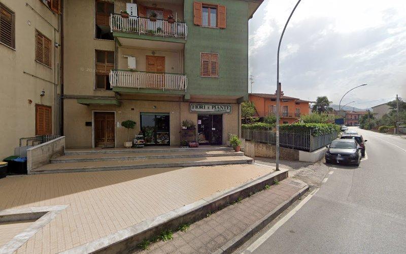 Un edificio lungo la strada con un negozio chiamato "Fiori Piante" al piano terra, fiancheggiato da auto parcheggiate e da una zona residenziale. Ci sono balconi con piante e fiori visibili sull'edificio.