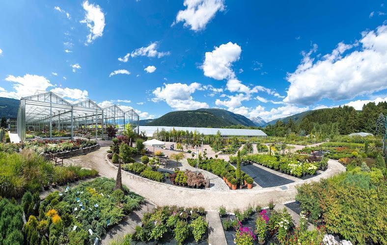Un'ampia vista di un grande centro di giardinaggio all'aperto con file di piante, serre e montagne in lontananza sotto un cielo azzurro terso con nuvole sparse.