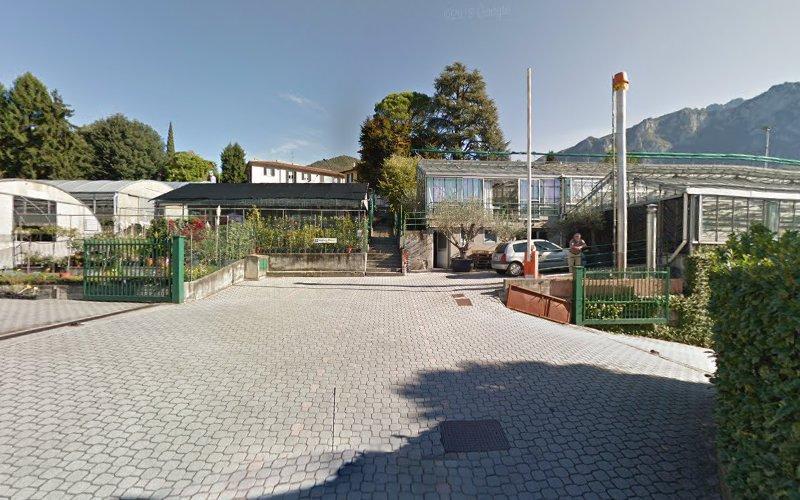 Un sentiero asfaltato conduce a un complesso di serre con più serre, circondato da alberi e montagne sullo sfondo. Una persona e un'auto sono vicino al cancello d'ingresso.