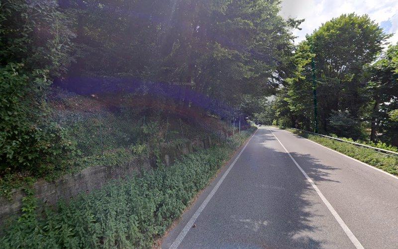 Una strada a due corsie costeggia un'area boschiva in una giornata di sole, con una leggera curva visibile più avanti. La strada è fiancheggiata da un guardrail da un lato e vegetazione dall'altro.