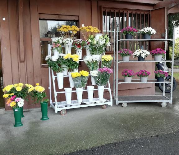 Due carretti e due vasi contenenti fiori di vari colori, tra cui giallo, bianco e rosa, sono esposti all'esterno di un edificio dalla facciata marrone.