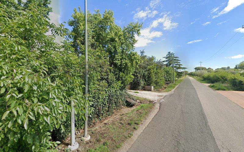 Una strada asfaltata e rurale si estende in avanti, delimitata da fitti alberi verdi e cespugli sul lato sinistro e da una vegetazione aperta sulla destra. Lungo la strada sono visibili un lampione e pali della luce.