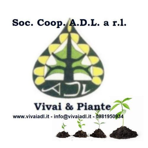 Logo della "Soc. Coop. A.D.L. a r.l. Vivai & Piante" con un albero all'interno di una goccia d'acqua, seguito dalle informazioni di contatto; in primo piano cinque piccole piantine che crescono nel terreno.
