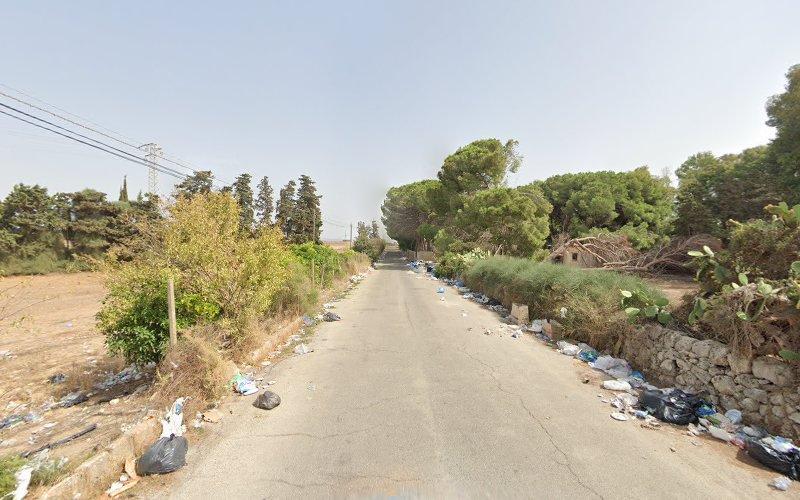 Una strada stretta e crepata, fiancheggiata da alberi e cespugli, è disseminata di rifiuti su entrambi i lati e, sulla sinistra, corre parallela alla strada una linea elettrica.