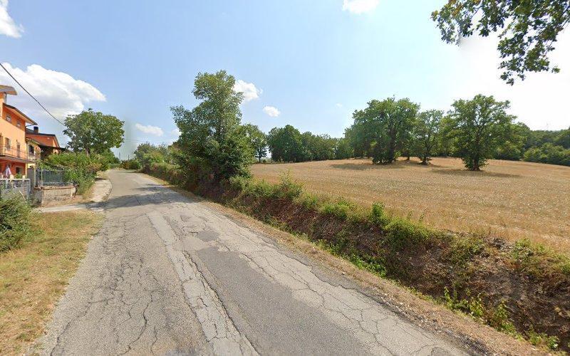 Una vecchia strada screpolata curva a sinistra accanto a un campo d'erba con alberi sparsi. Sulla sinistra, una casa con cespugli e una recinzione costeggia il ciglio della strada. Il cielo è limpido con qualche nuvola.