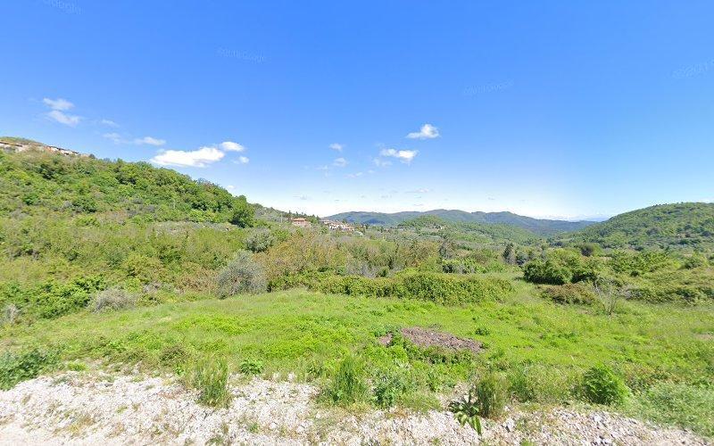Un paesaggio verdeggiante e collinare si estende sotto un cielo azzurro e terso, punteggiato di nuvole bianche; in lontananza si può vedere un piccolo gruppo di edifici.