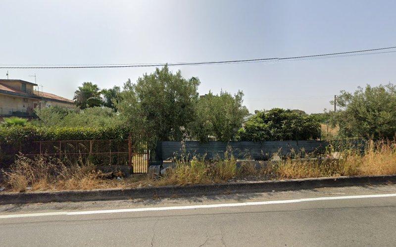Una strada corre parallela a una recinzione e a un cancello, fiancheggiata da una fitta vegetazione. Sullo sfondo è visibile un edificio con un tetto di tegole. Una vegetazione rada cresce lungo la strada.