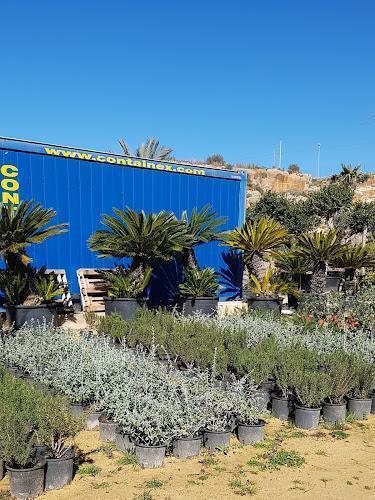 Le piante in vaso sono disposte in file all'esterno di un contenitore blu su cui è scritto "contalinex.com".
