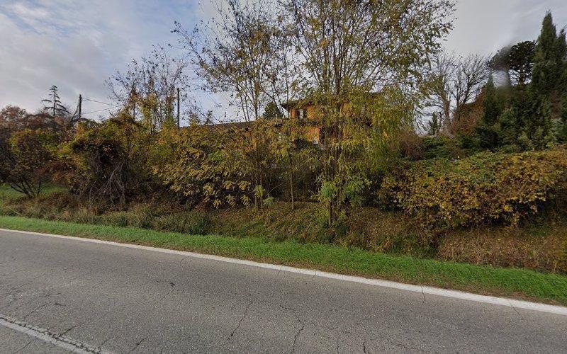 Una strada corre parallela a un margine erboso con cespugli e alberi troppo cresciuti. Una casa è parzialmente visibile dietro il fogliame sullo sfondo. Il cielo è parzialmente nuvoloso.