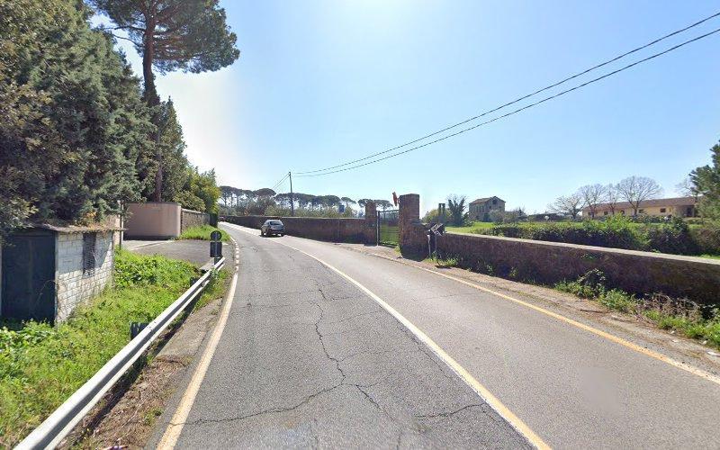 Una strada a due corsie curva leggermente, fiancheggiata da alberi ed erba. Un'auto si avvicina a un ingresso recintato sul lato destro, con un cielo azzurro terso sopra la testa.