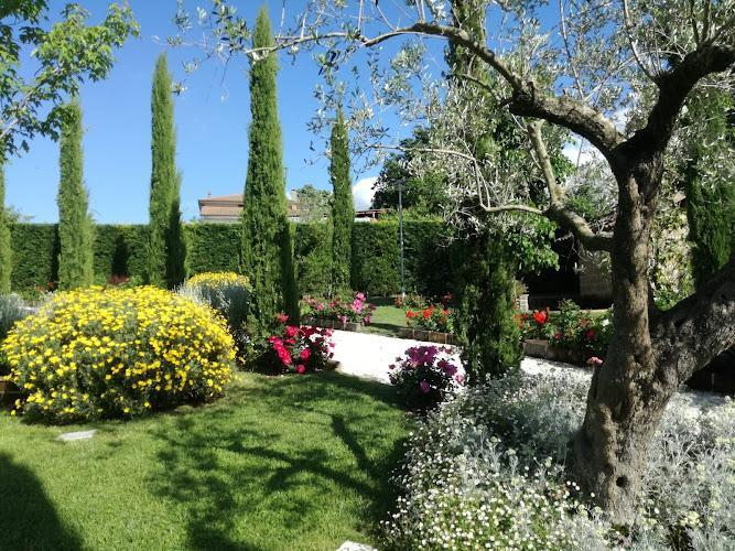Un giardino paesaggistico caratterizzato da alti cipressi, arbusti fioriti con fiori gialli e rossi, erba verde rigogliosa e un ulivo sotto un cielo azzurro e terso.