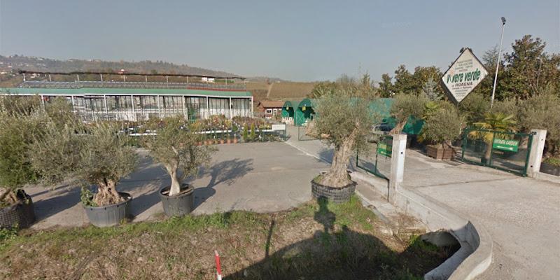 Un vivaio con varie piante in vaso, alberi e arbusti. C'è una serra e un grande cartello con la scritta "L'Verde" all'ingresso.