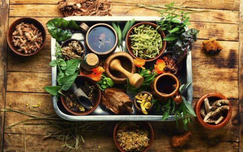 Come creare il proprio giardino di erbe aromatiche